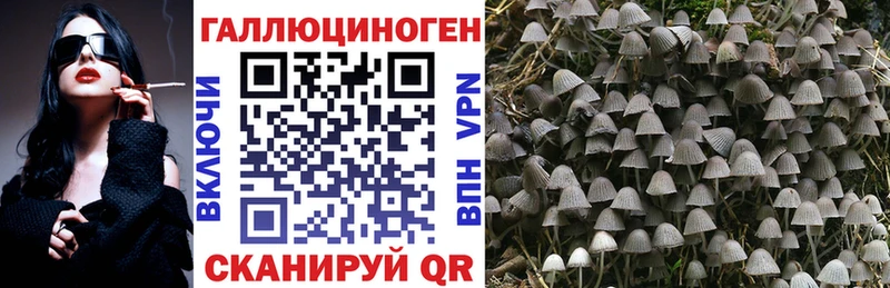 кракен ТОР  Мезень  Галлюциногенные грибы GOLDEN TEACHER 